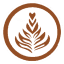 kt-coffee-logo-transparent
